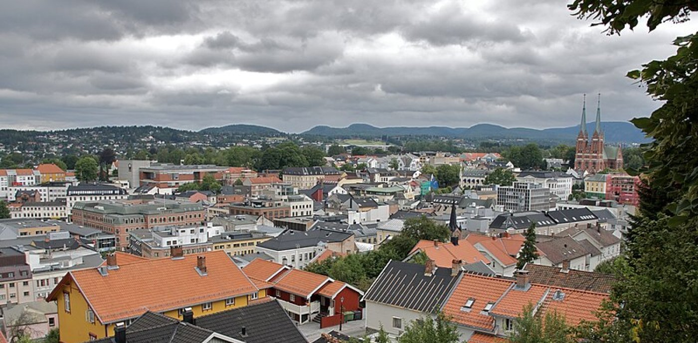 Skien sentrum sett fra Brekkeparken